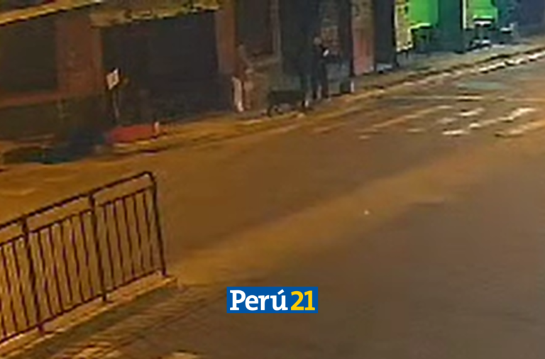 ¡Indignante! Mujer es captada lanzando agua hirviendo a perro callejero en Ate (VIDEO)