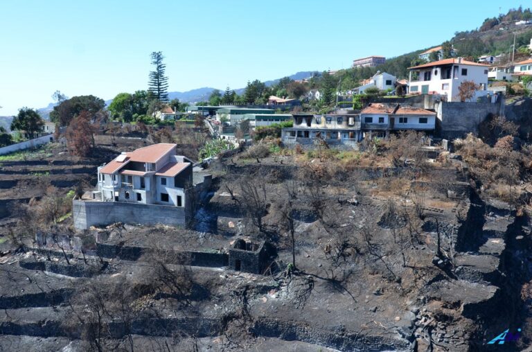 How to protect your property from wildfires How to protect your property from wildfires
